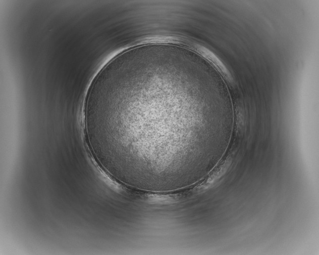 X0000113310852200909211140