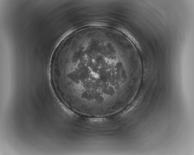 X0000113310853200909211140