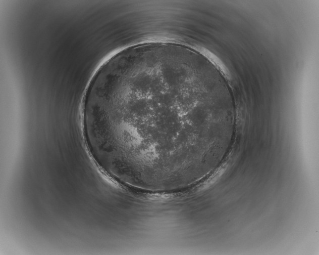 X0000113310854200909211140