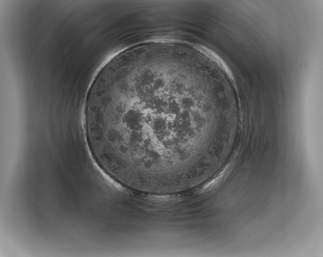 X0000113310855200909211140