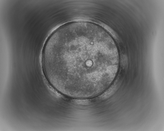 X0000113310856200909211140