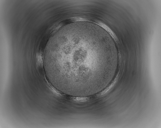 X0000113310857200909211140