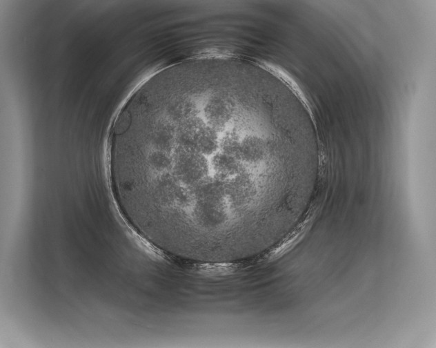 X0000113310859200909211141