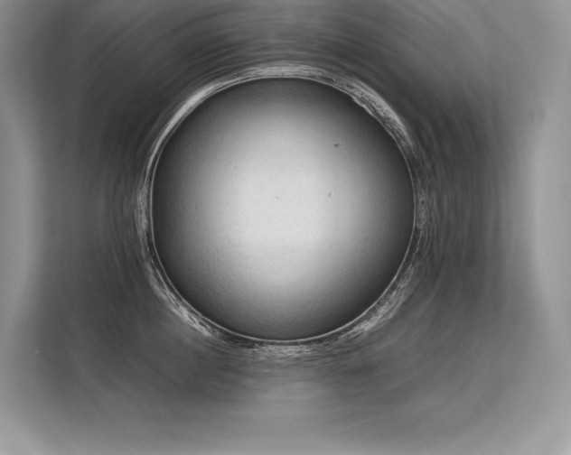 X0000113310860200909211141