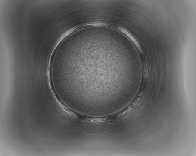 X0000113310861200909211141