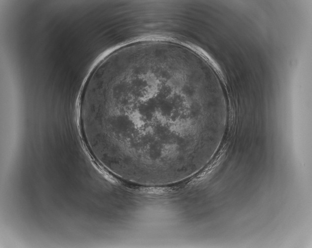 X0000113310862200909211141