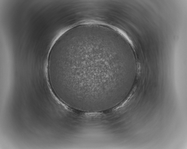 X0000113310863200909211141