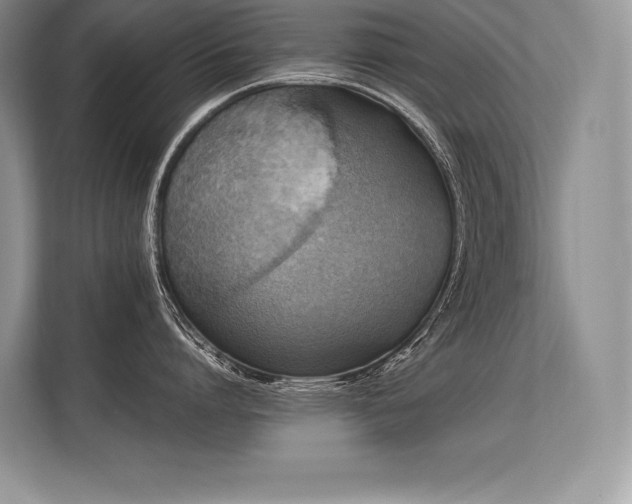 X0000113310864200909211141