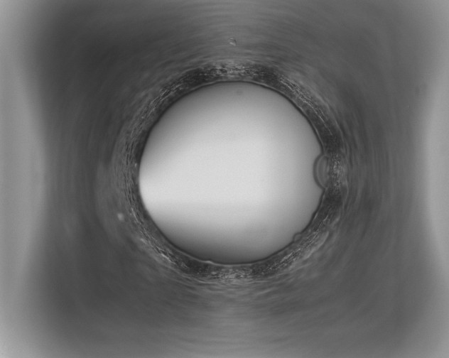 X0000113310865200909211140