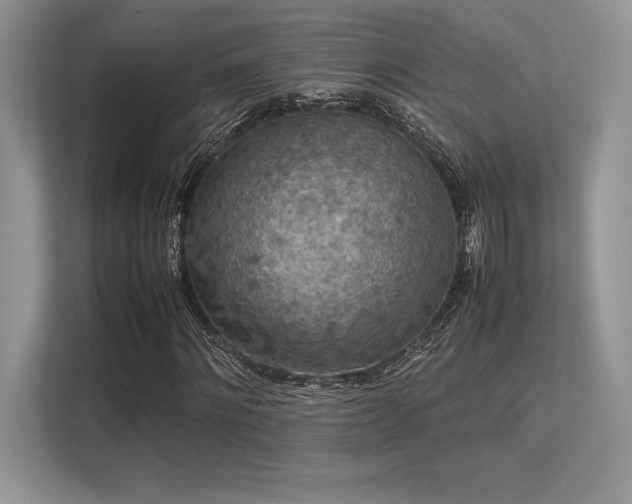 X0000113310868200909211140