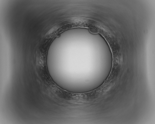 X0000113310869200909211140