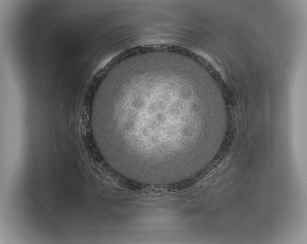 X0000113310871200909211140