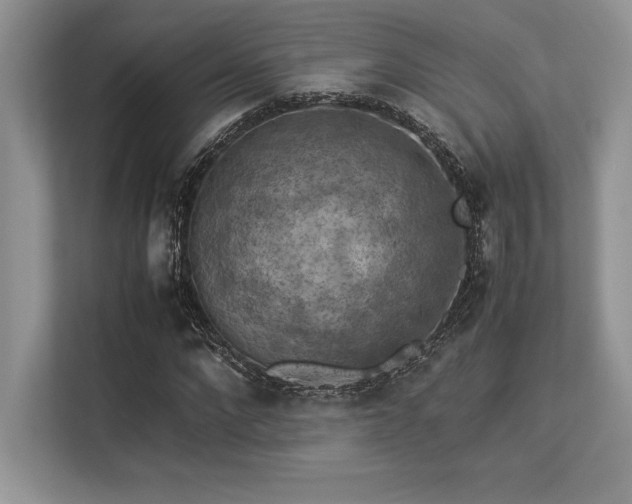 X0000113310872200909211140