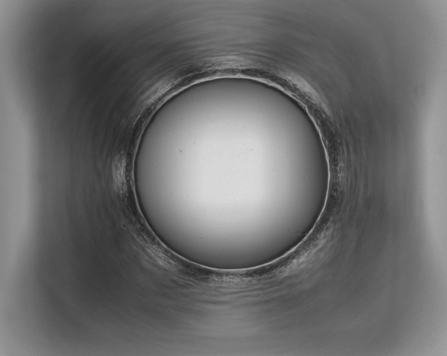 X0000113310873200909211140