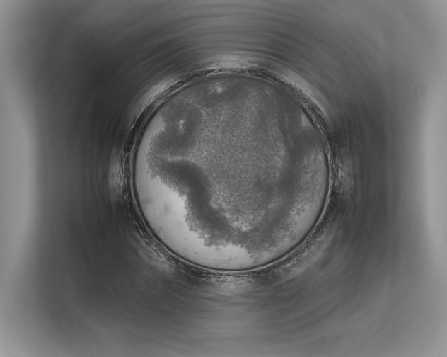 X0000113310874200909211140