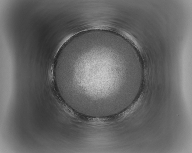 X0000113310875200909211140