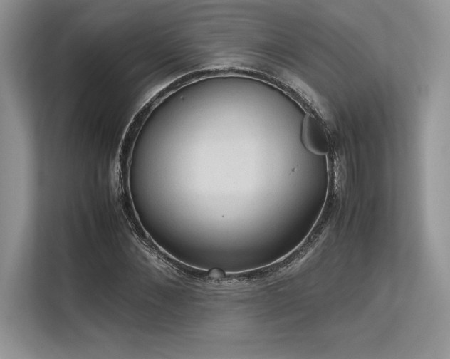 X0000113310876200909211140