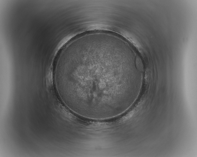 X0000113310877200909211140