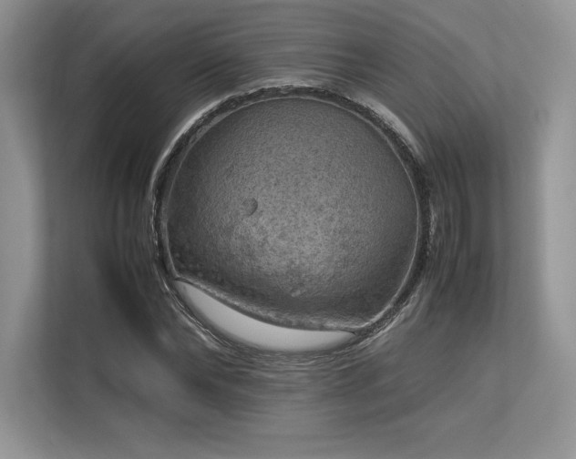 X0000113310878200909211140