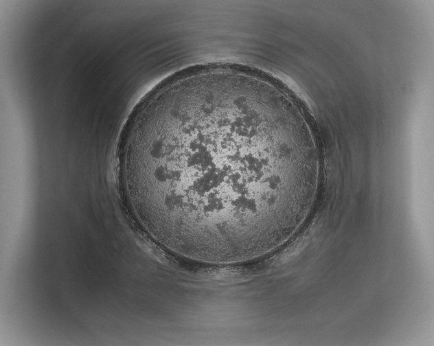 X0000113310879200909211140