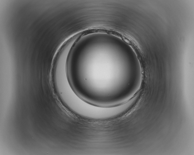 X0000113310880200909211140