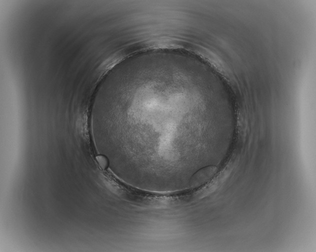 X0000113310881200909211140