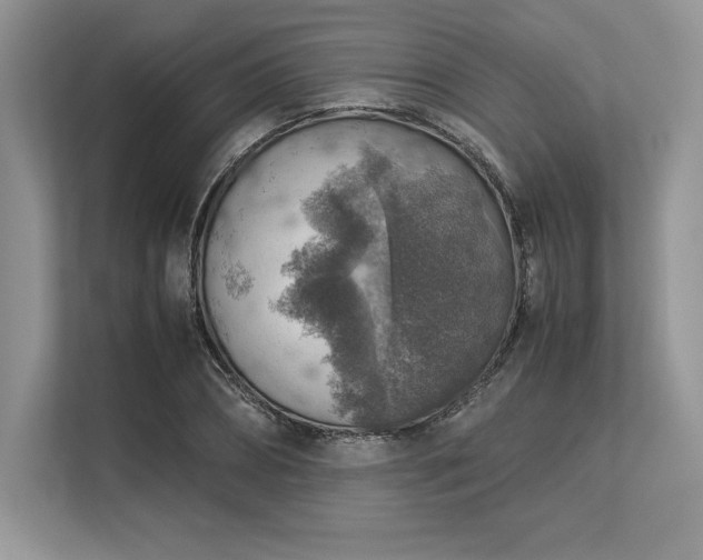 X0000113310882200909211140