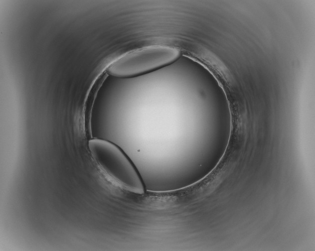 X0000113310884200909211140