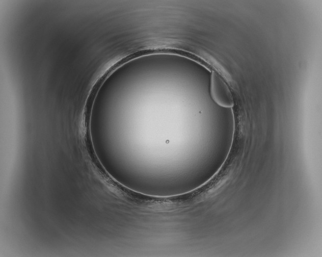 X0000113310885200909211140