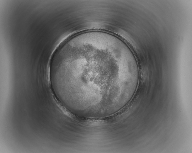 X0000113310886200909211140