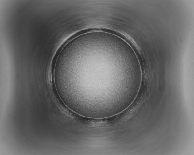 X0000113310887200909211140