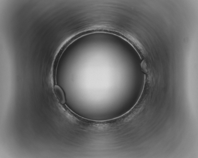 X0000113310888200909211140