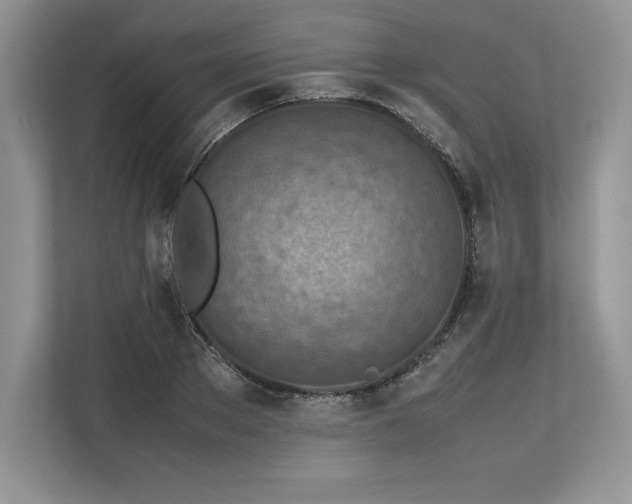 X0000113310889200909211140