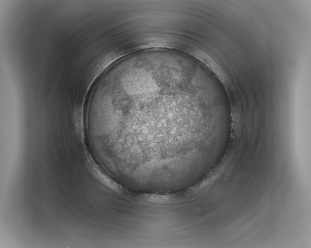 X0000113310890200909211140