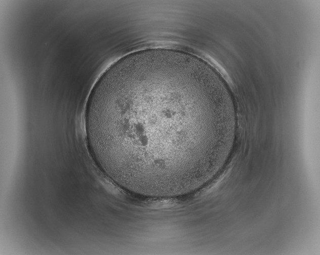 X0000113310891200909211140