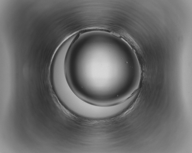 X0000113310892200909211140