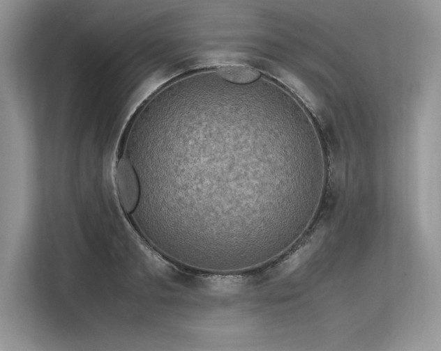 X0000113310893200909211140