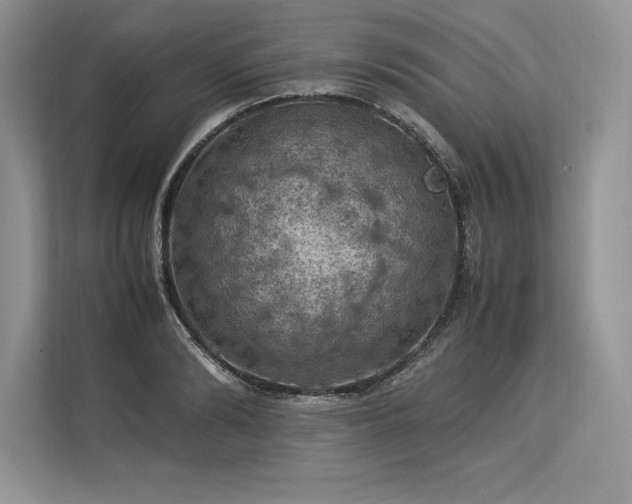 X0000113310894200909211140