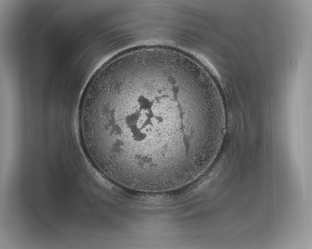 X0000113310895200909211140