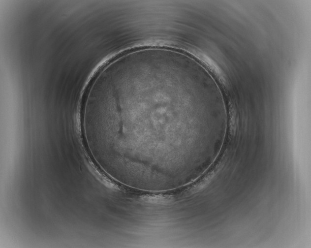 X0000113310896200909211140