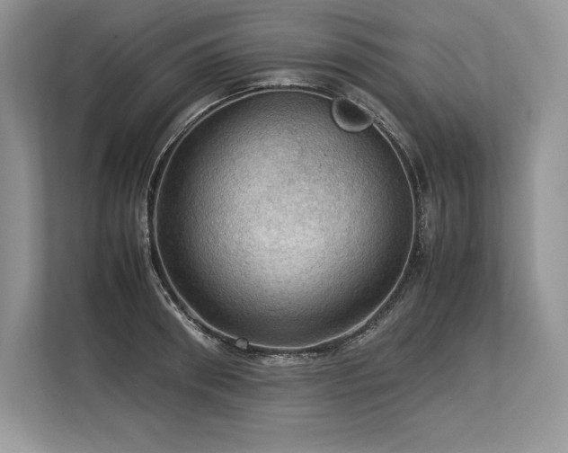 X0000113310898200909211140