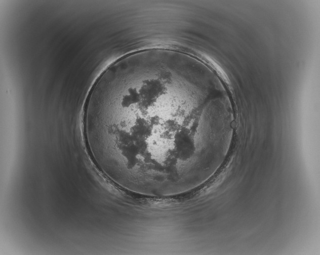 X0000113310899200909211140