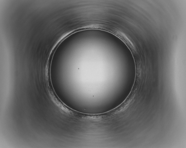 X0000113310900200909211140