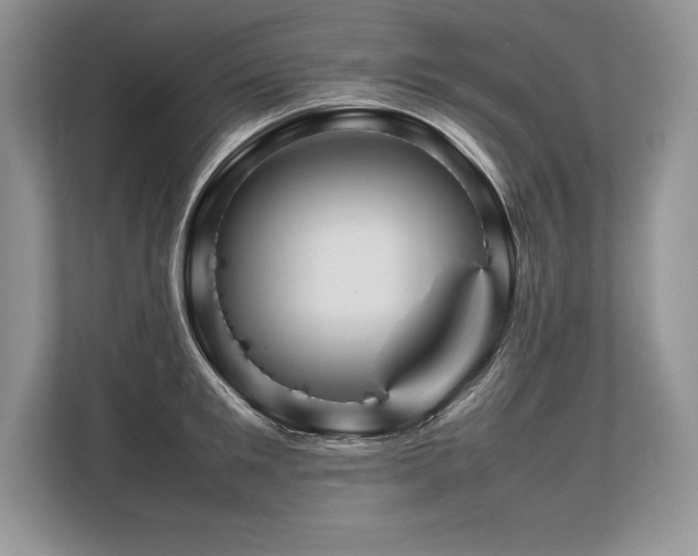 X0000113310901200909211139