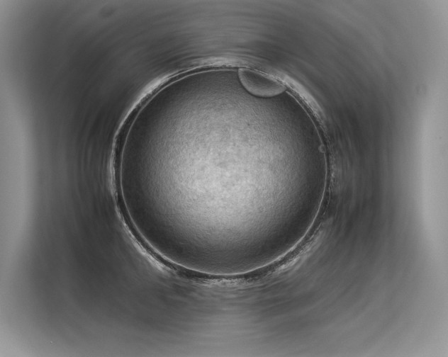 X0000113310902200909211139