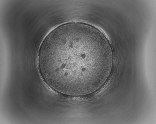 X0000113310903200909211139