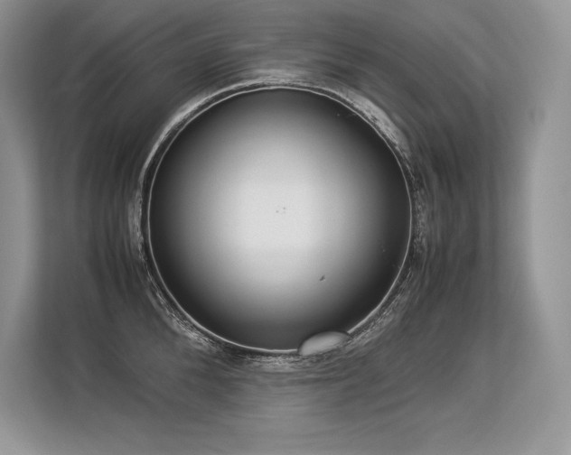 X0000113310904200909211139