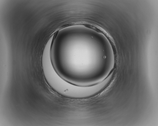 X0000113310905200909211139