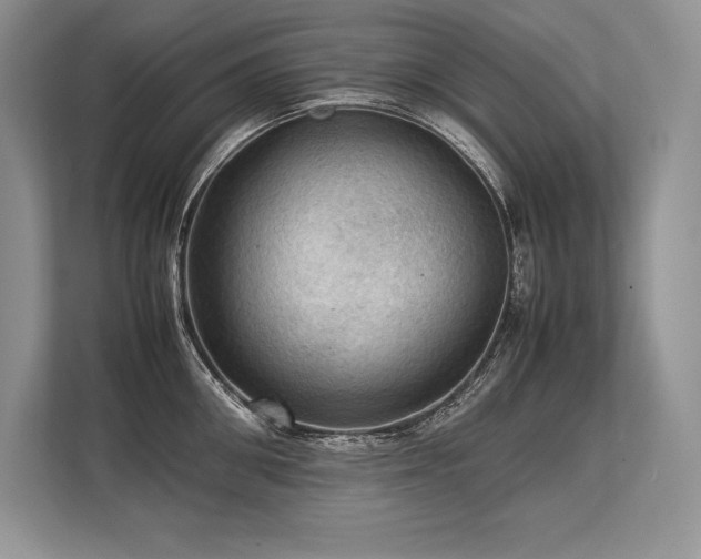 X0000113310906200909211139