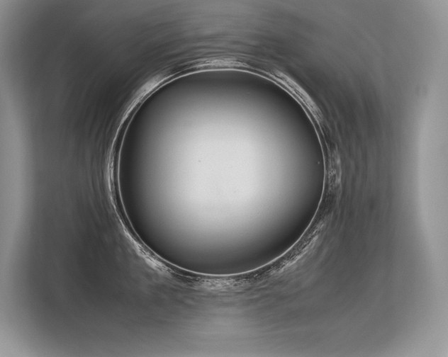 X0000113310909200909211139